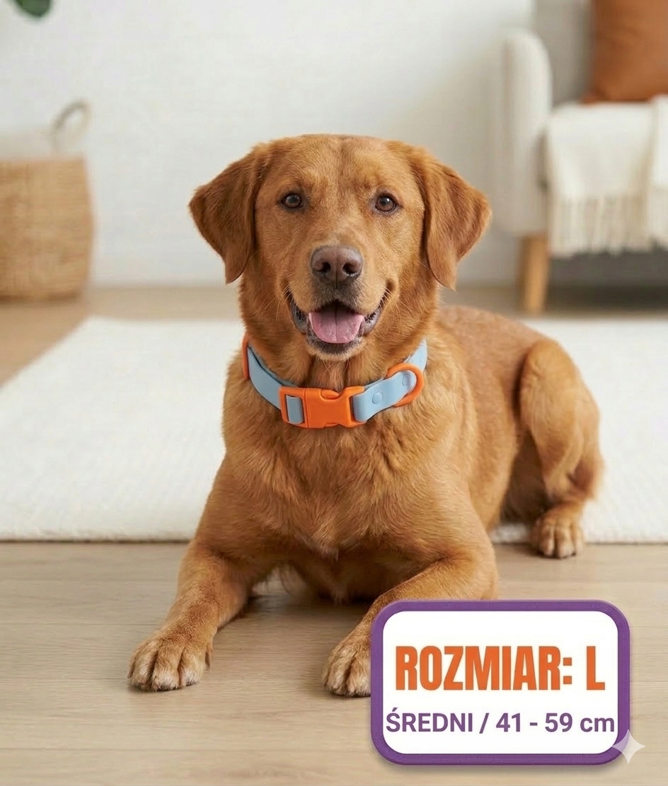 Levně Voděodolný obojek pro psa Velikost L Regulovatelný Odolný Modrý Pvc