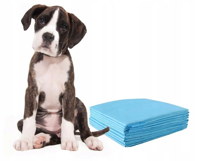 Levně Na Jedno Použití absorpční podložky pro psa a kočku, 60 x 90 100 ks, Costway, Nové