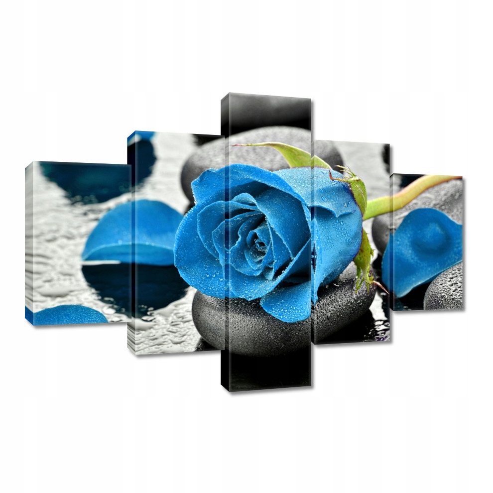 

Obrazy 100x70 Niebieska róża Kamienie