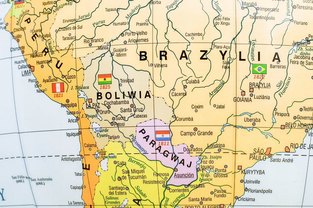 GLOBUS POLITYCZNY XXL 42 CM PODŁOGOWY WYSOKA NOGA Rodzaj polityczny