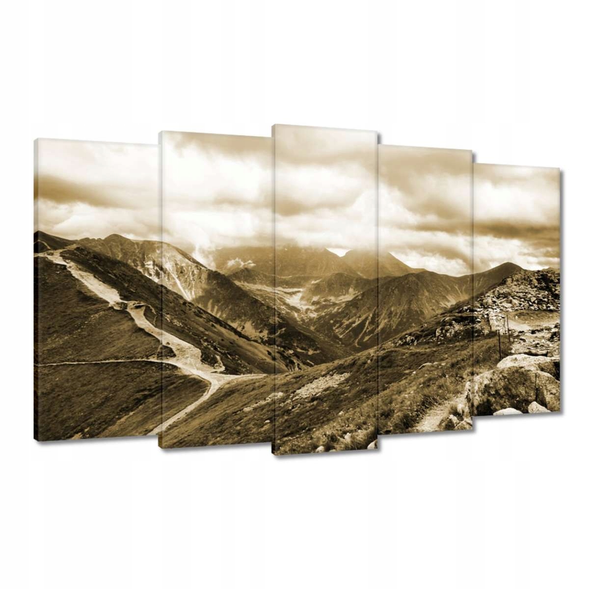 Obrazy 100x60 Tatry Polské hory Pohled