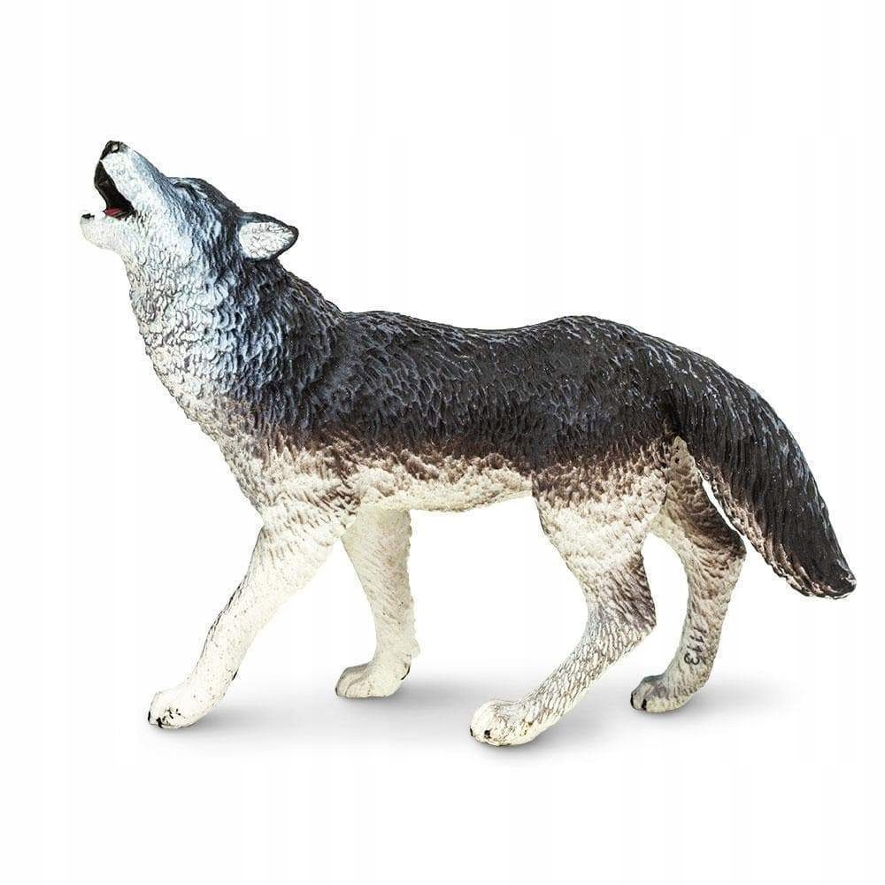 

Wilk Szary Gray Wolf Safari Ltd. 273829