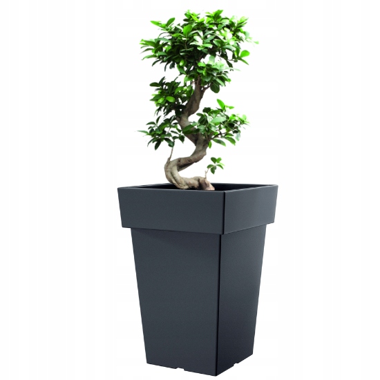 

Doniczka Lofly DLOFQ300 Wysoka donica 30xh44cm