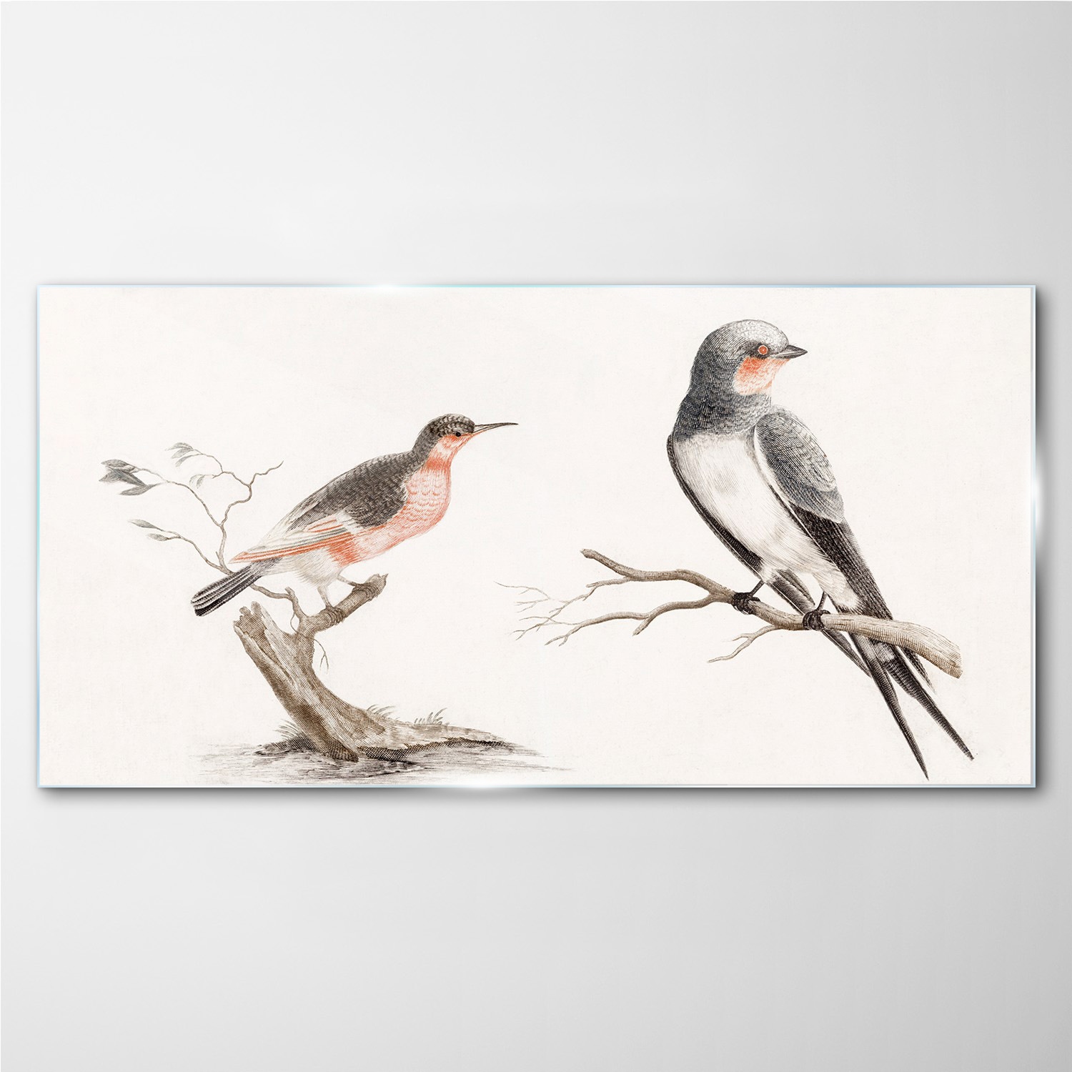 

Obraz na ścianę szklany Zwierzęta ptaki 140x70 cm