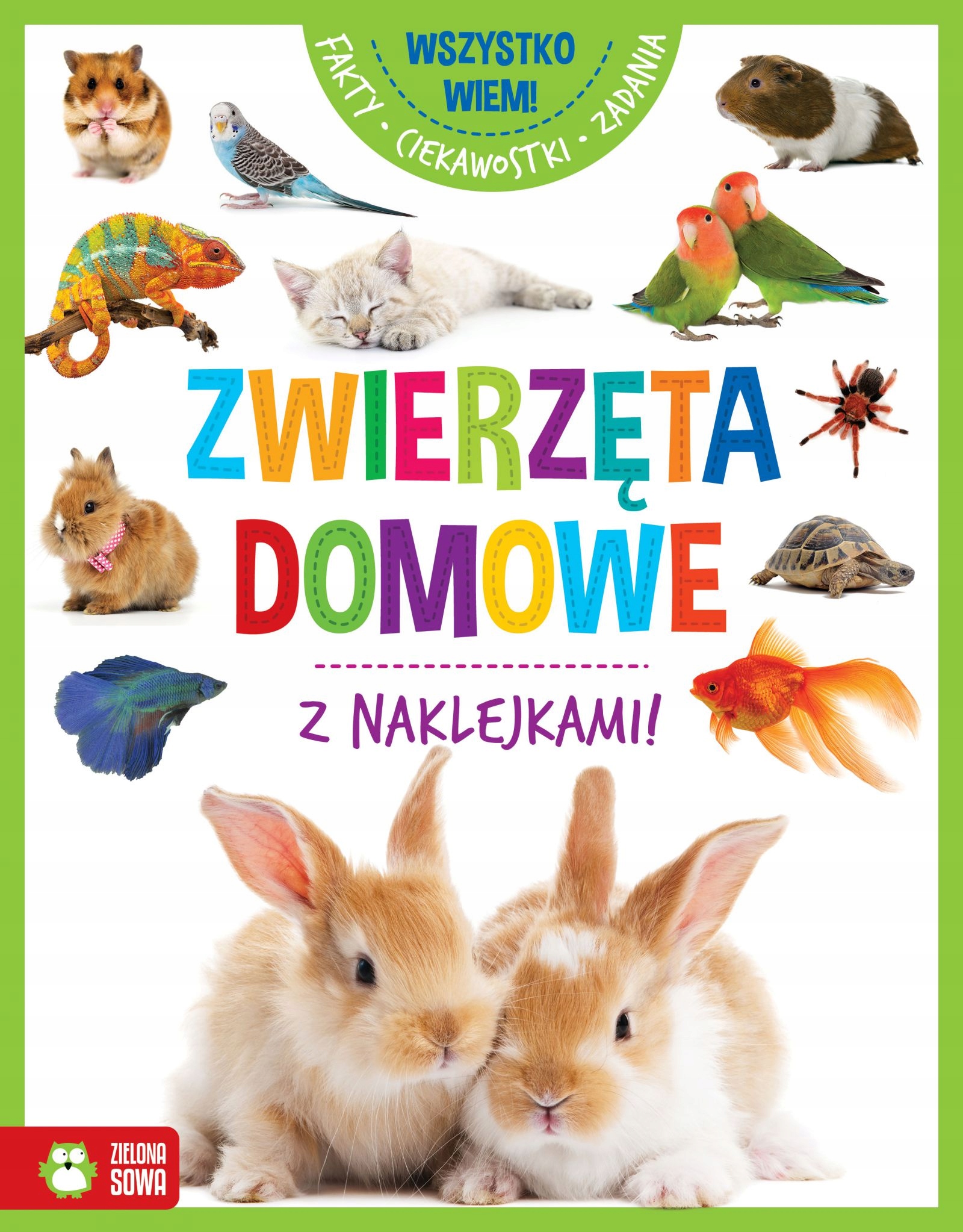 

Wszystko wiem! Zwierzęta domowe brak autora