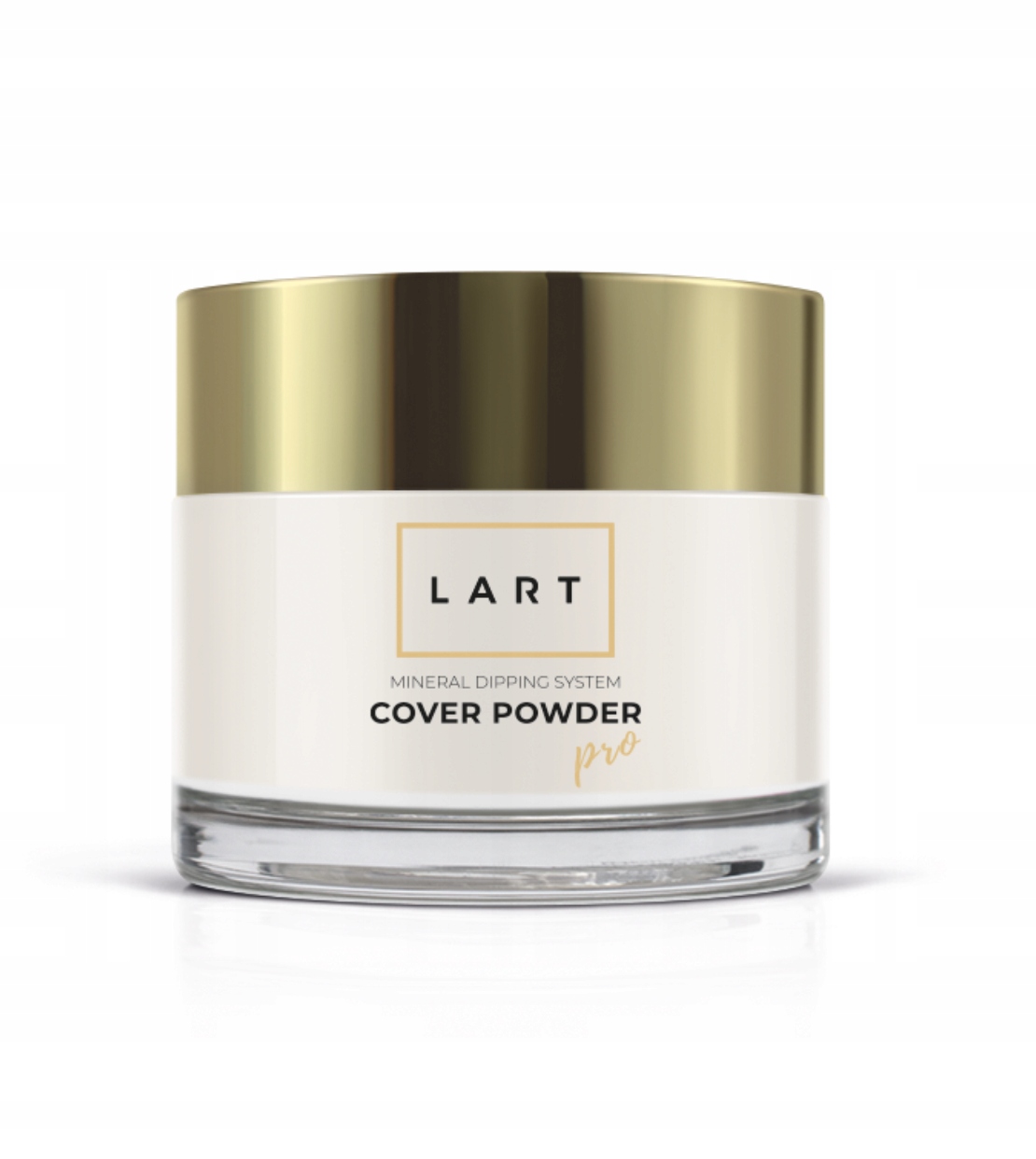 Lart Cover 04 Pudr na titan 56 g
