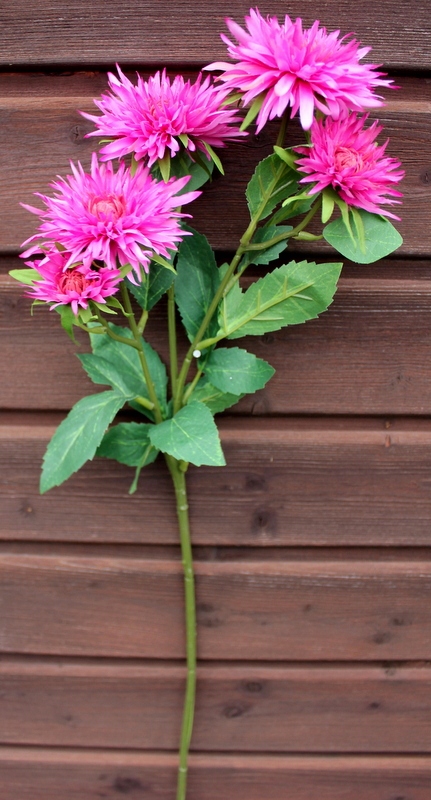 

Astry Długa Jesienna Gałązka Fuksja 72 cm