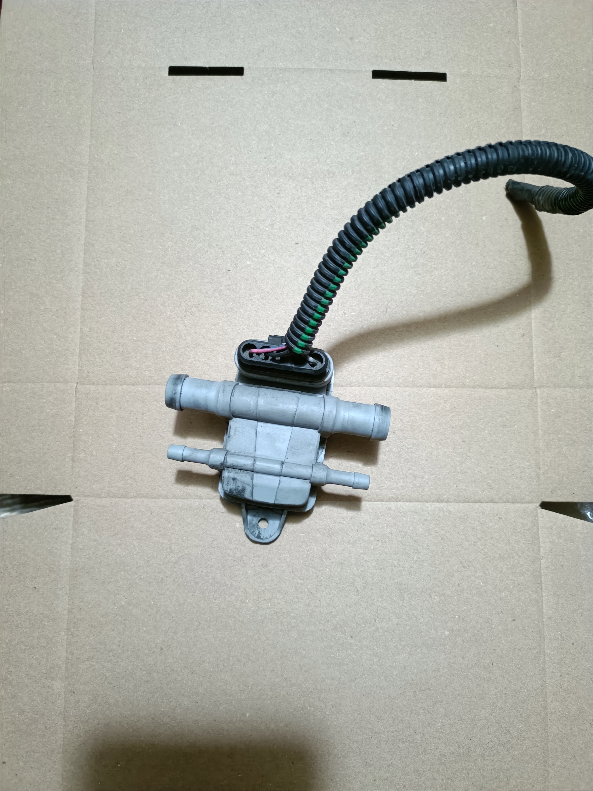 Mapsensor Sensor Druck Diego CCT6 grau
