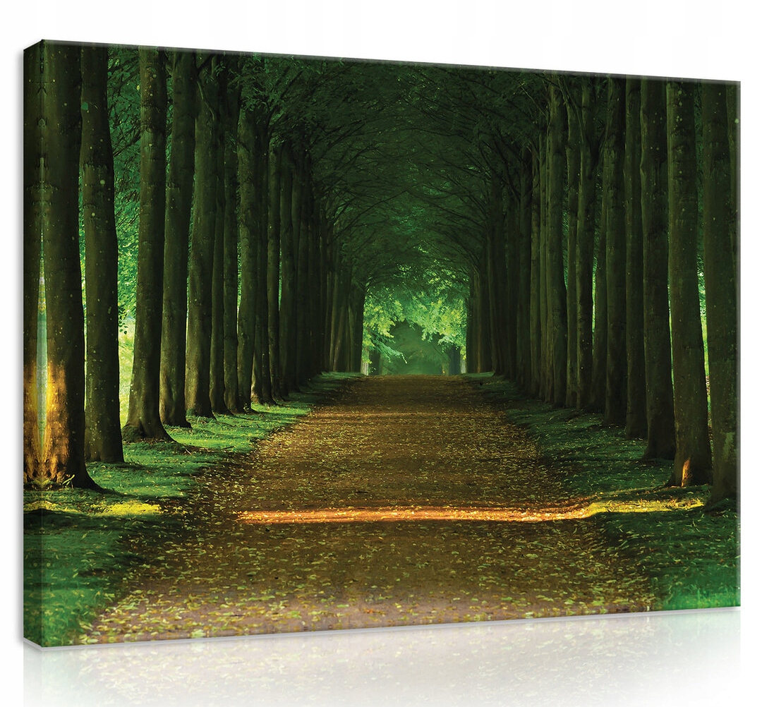 Obraz Na Plátně Canvas 80x60 Les Park Aleja