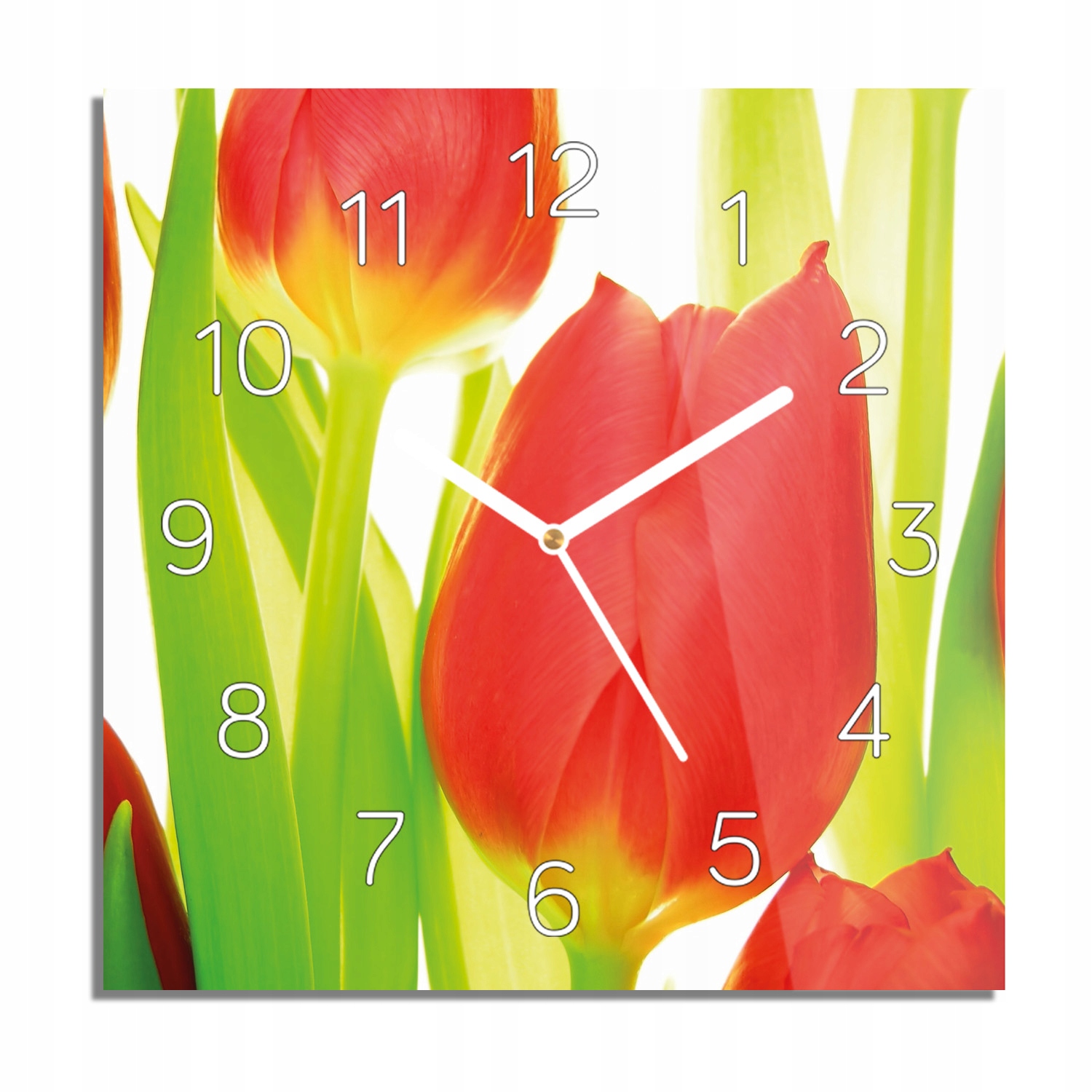 Tulipány pupeny květiny foto-hodiny bílé číslice 30x30