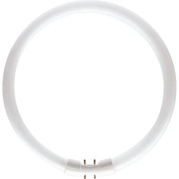 Philips kruhová zářivka TL5 22 W 3000 K 927965083013