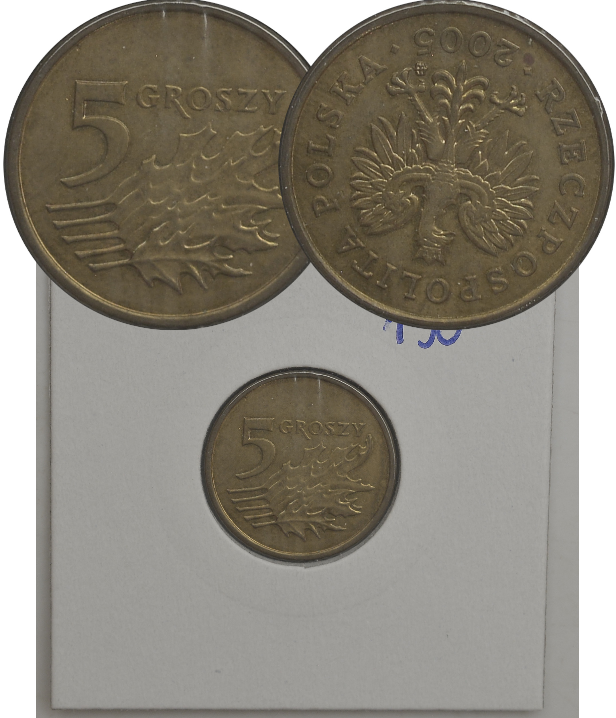 6.fy.III RP, 5 GROSZY 2005 odwrotka 190*