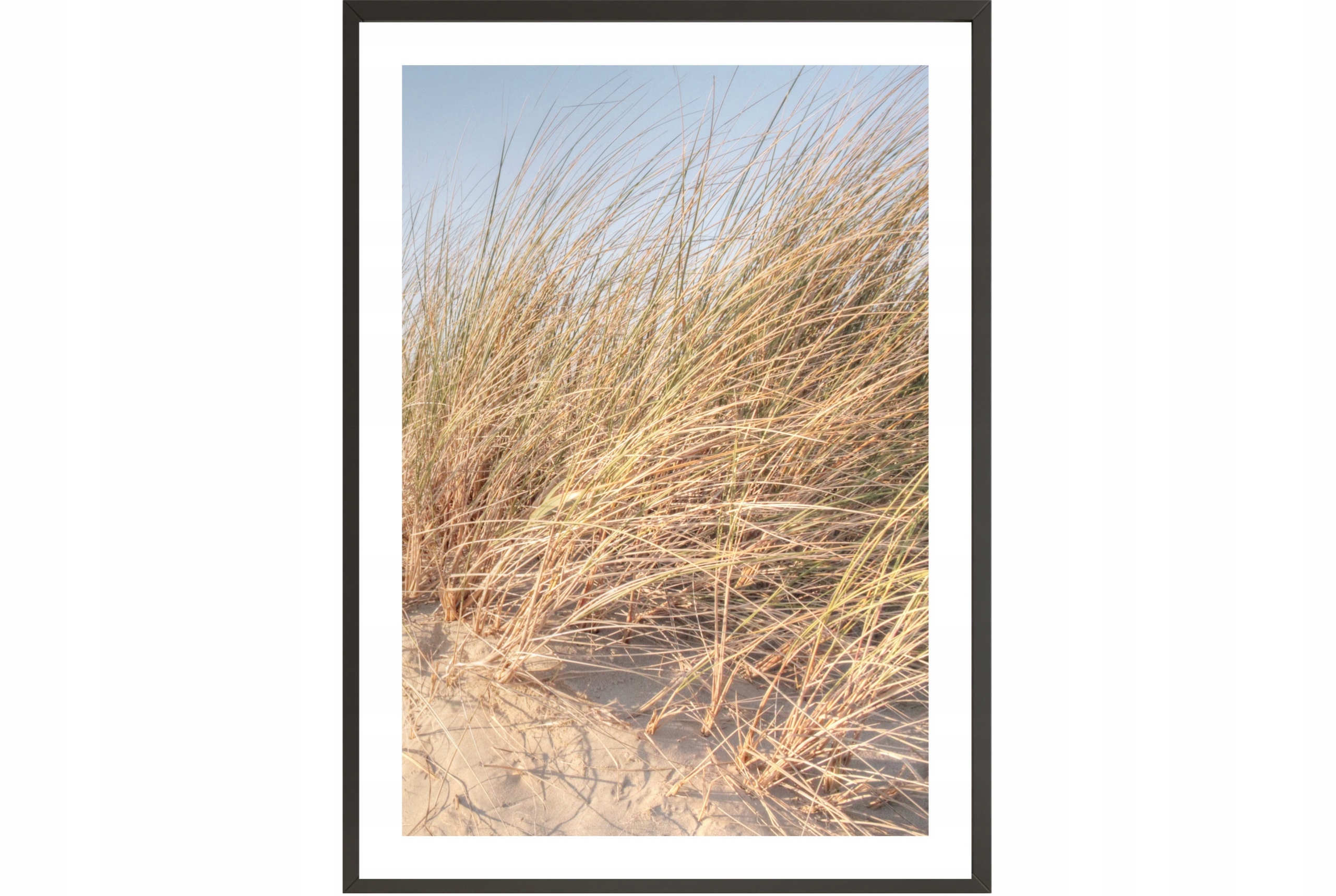 

Obraz plakat 70x50 trawa boho plaża Wybierz Wzór