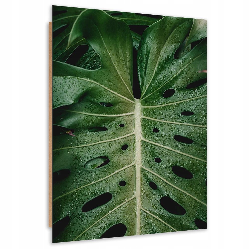 

Obraz Na Ścianę Liść Monstery Panel 40x60