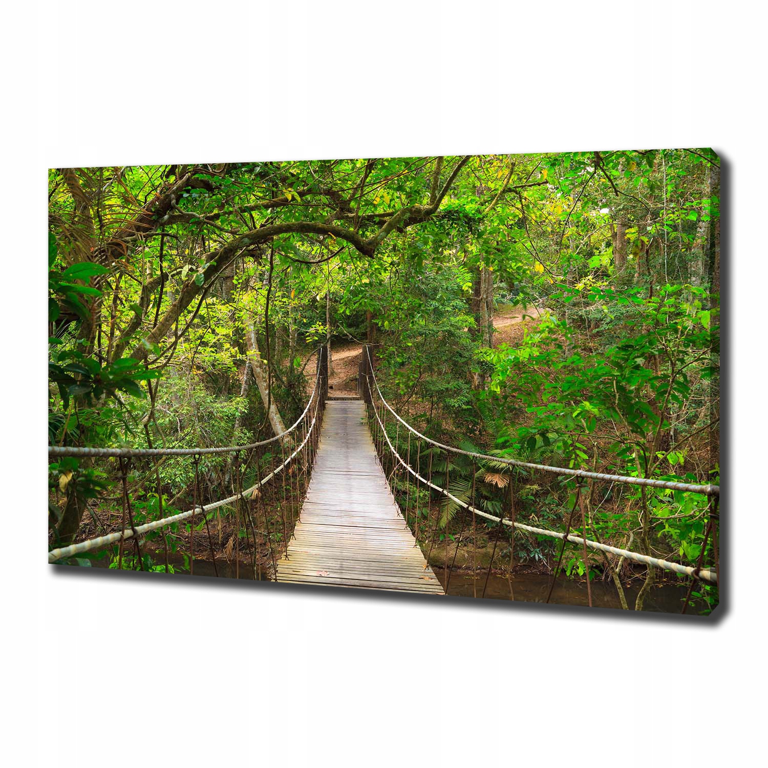 

Foto obraz canvas na ścianę Most linowy 100x70 cm