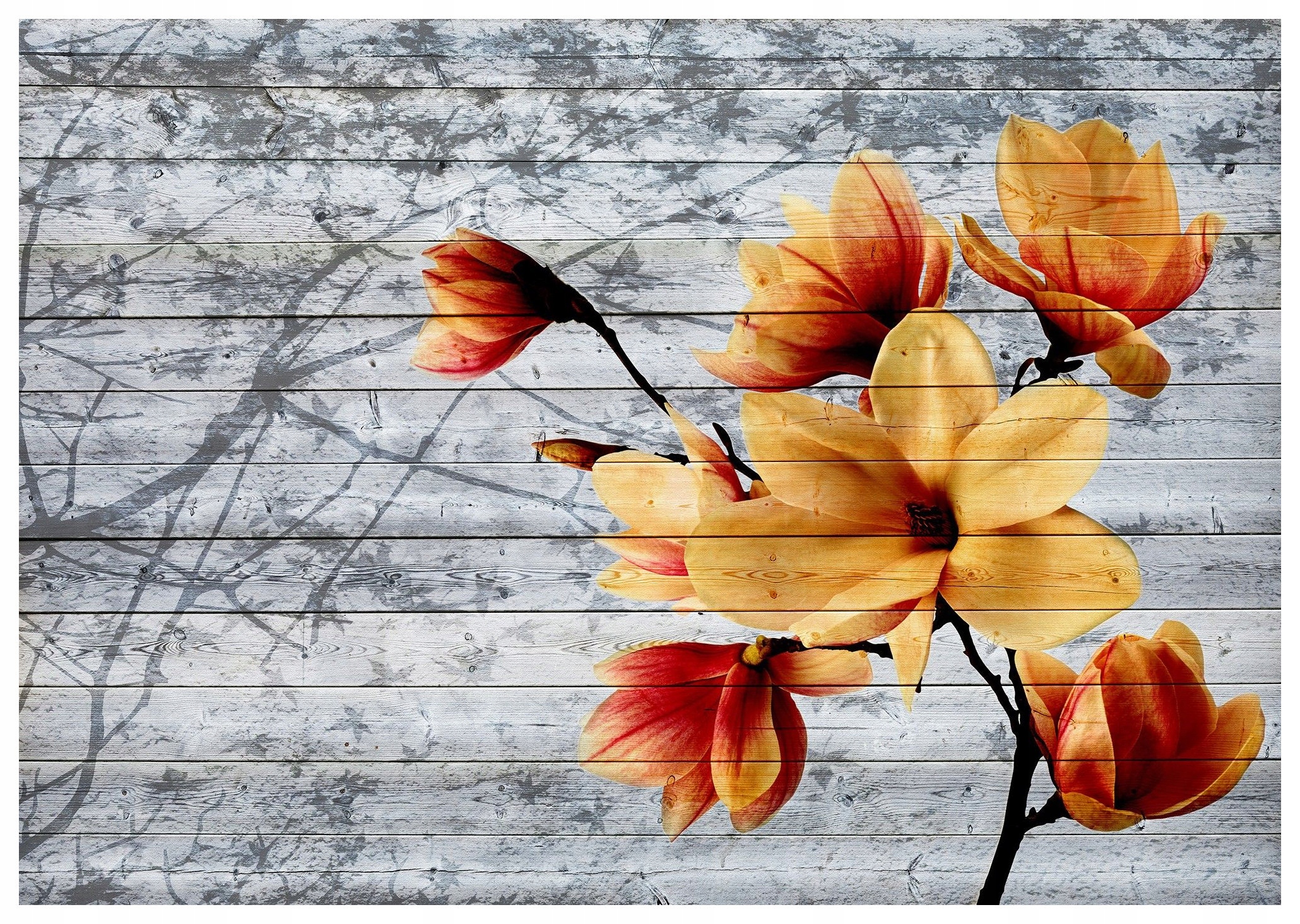 Fototapeta Magnolie Vintage Rustikální rozměr 200x140 jemný dekor lepidlo