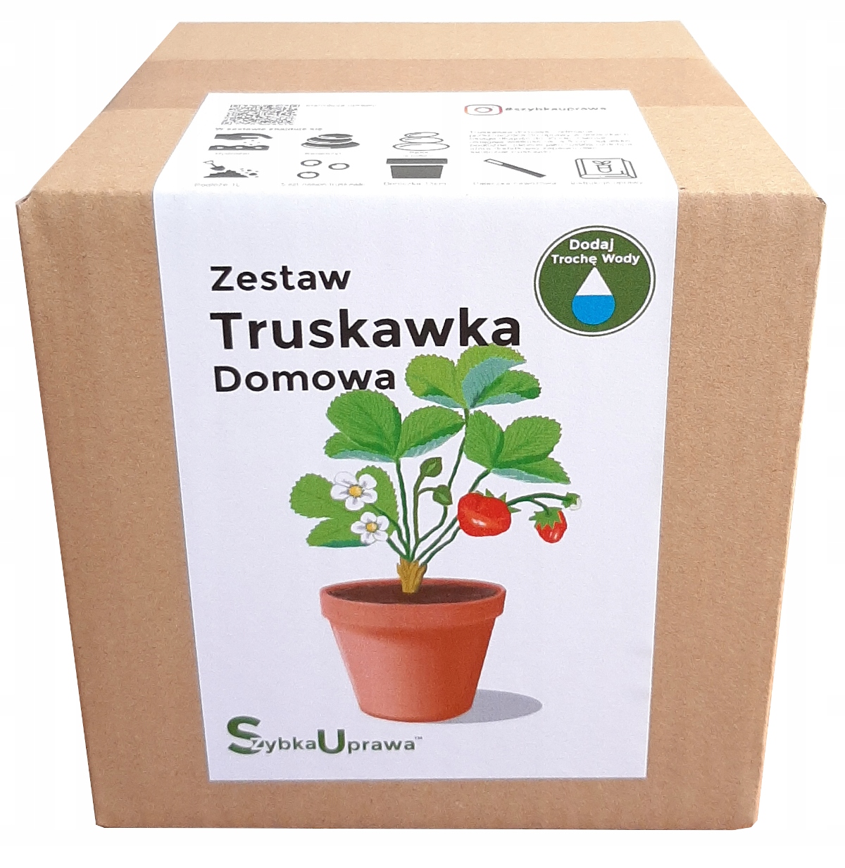 

wyborny na Dzień Taty Truskawka domowa 03