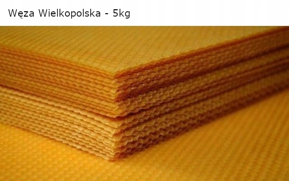 

Węza pszczela Wielkopolską 5 Kg 5,37 MM