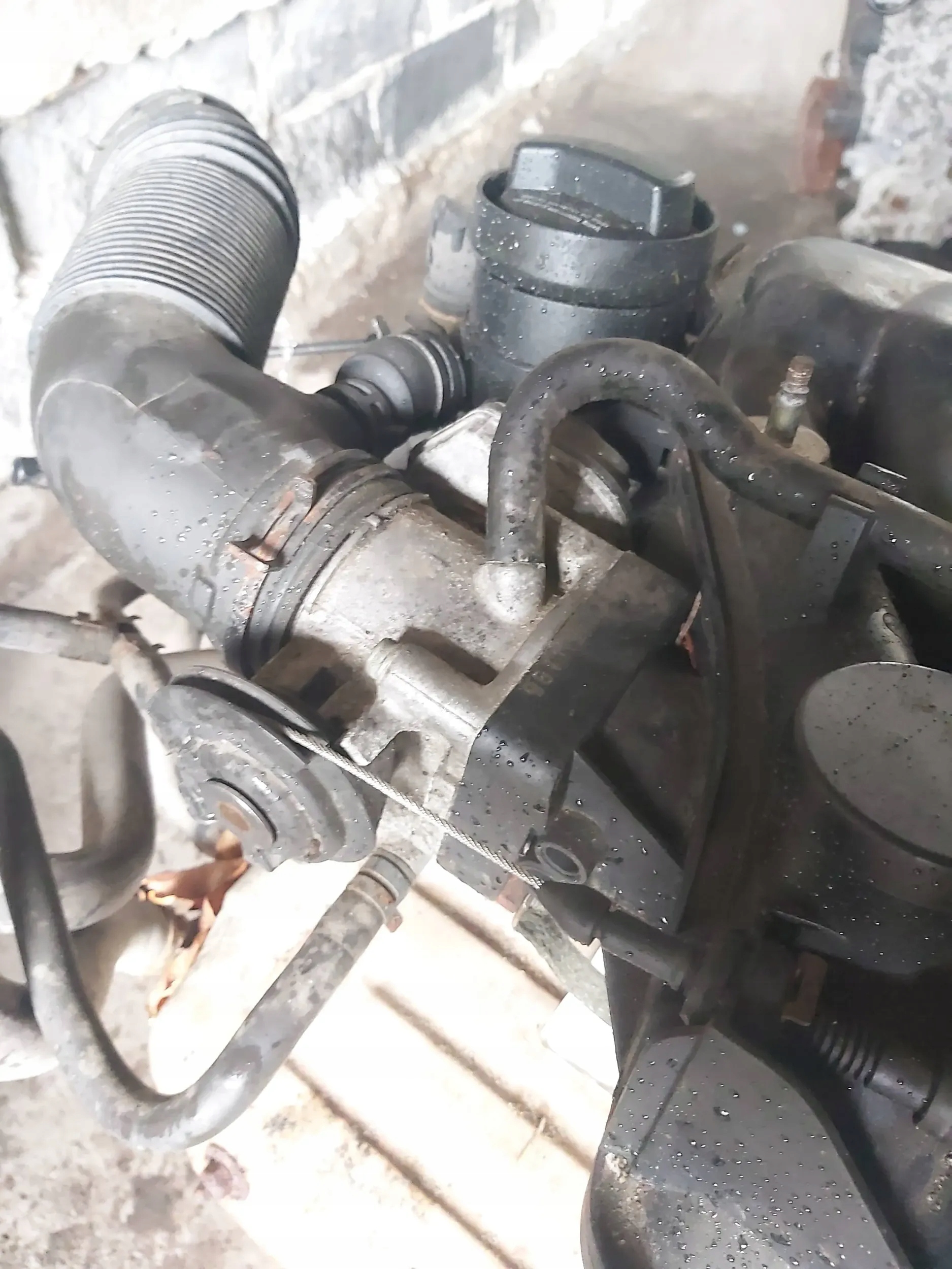 Двигатель vw SKODA seat LEON Audi A3 1.6 8V SR akl