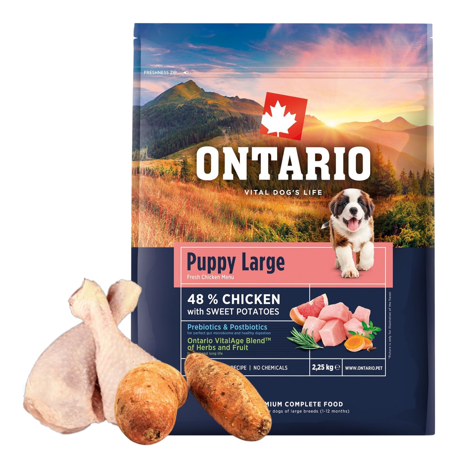Levně Ontario Chicken & Sweet Potatoes 2,25 Krmivo pro Štěňata a Mladé Psy