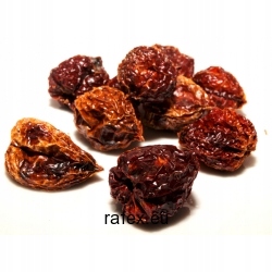 Levně Habanero čokoládová paprika 1 kg Rafex