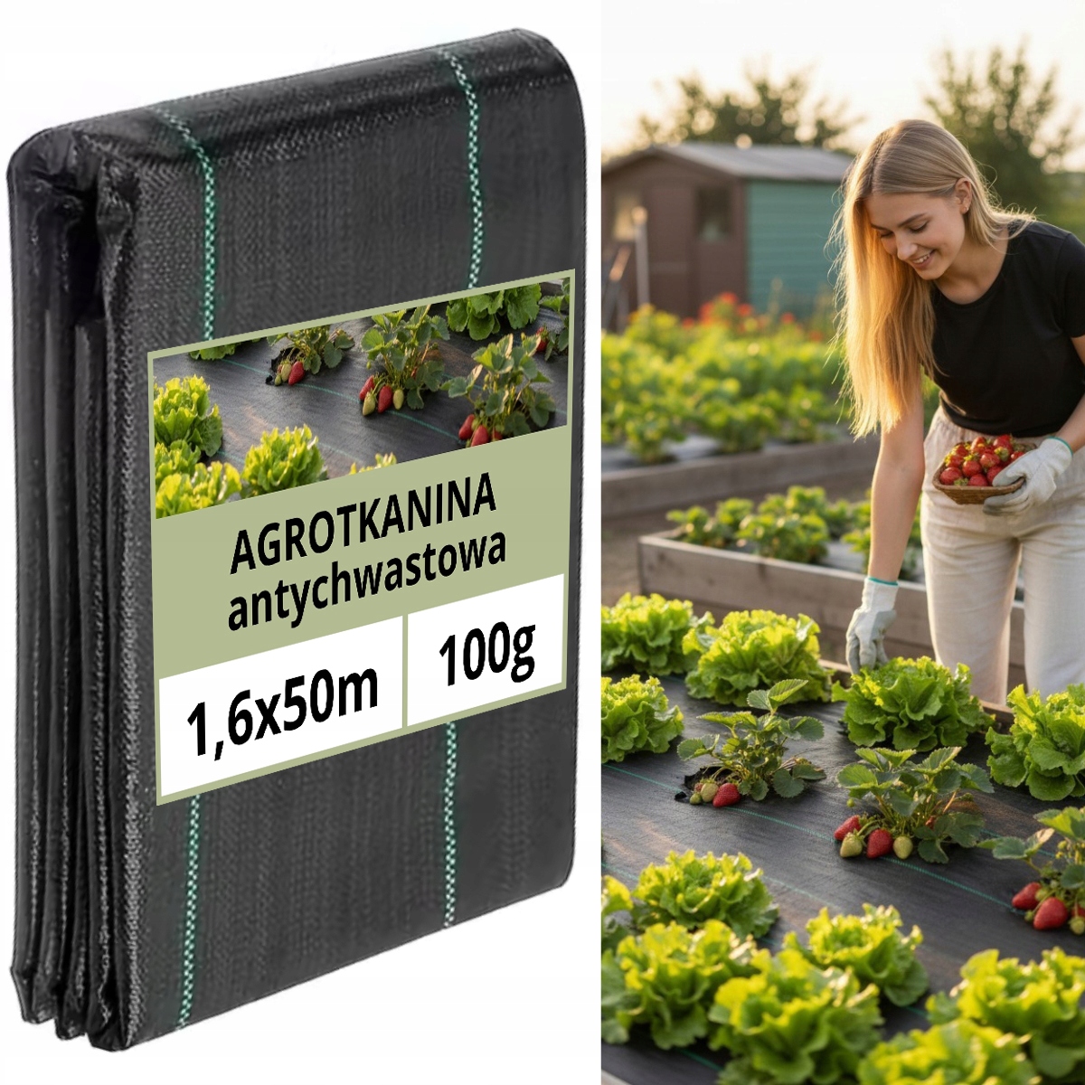 Agrotextília 100gUV Školská podložka 1,6x50m Poľsko