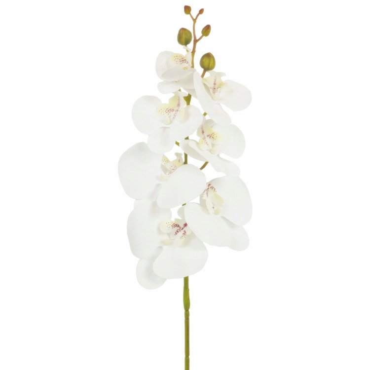 STORCZYK ORCHIDEA GAŁĄZKA 7 KWIATÓW 86cm GUMOWY Kod producenta G01