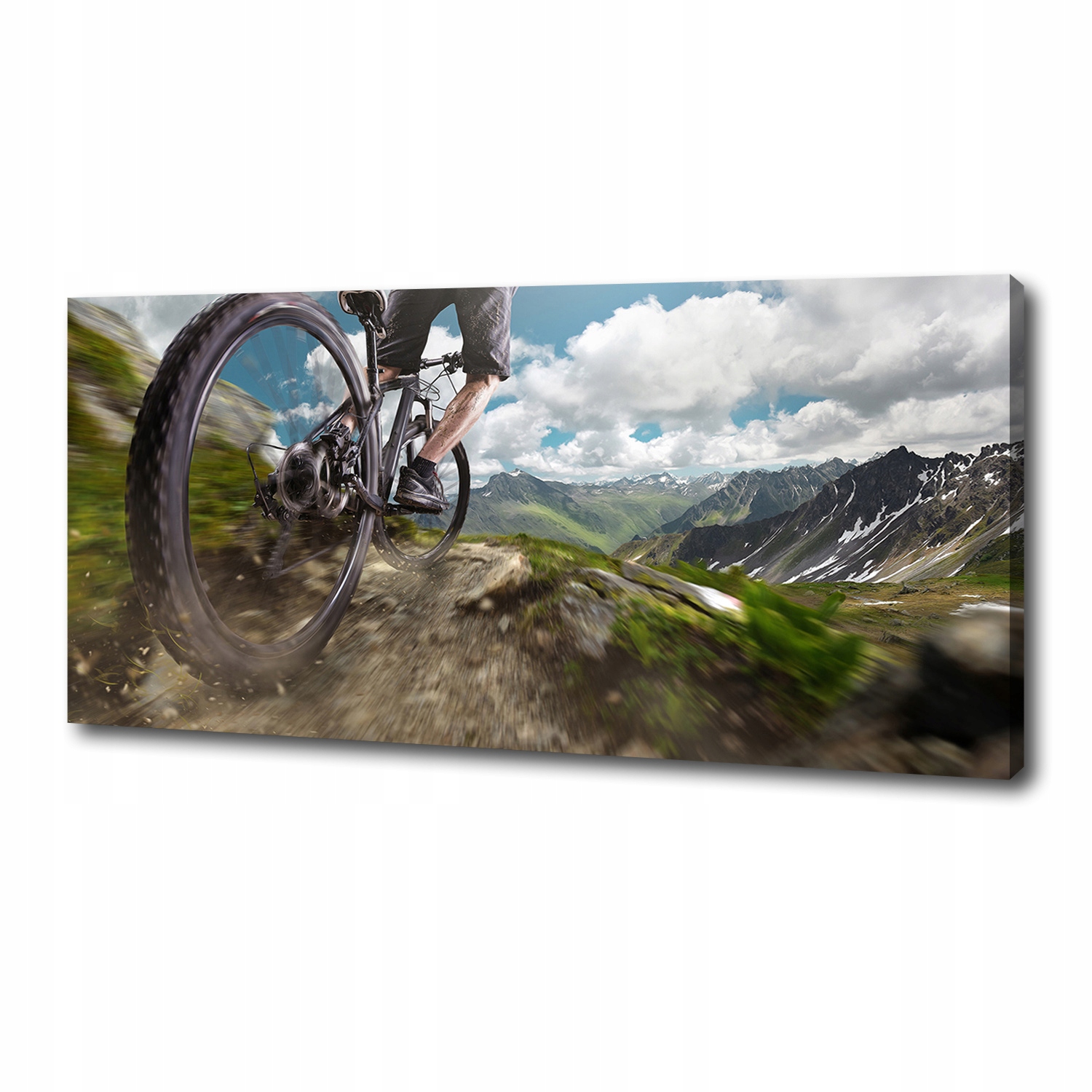 

Foto obraz na płótnie Kolarstwo górskie 125x50 cm