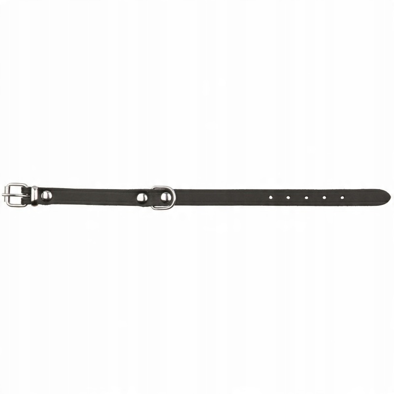 

Trixie Obroża Basic (s-m) 33-39 cm/16 mm czarna