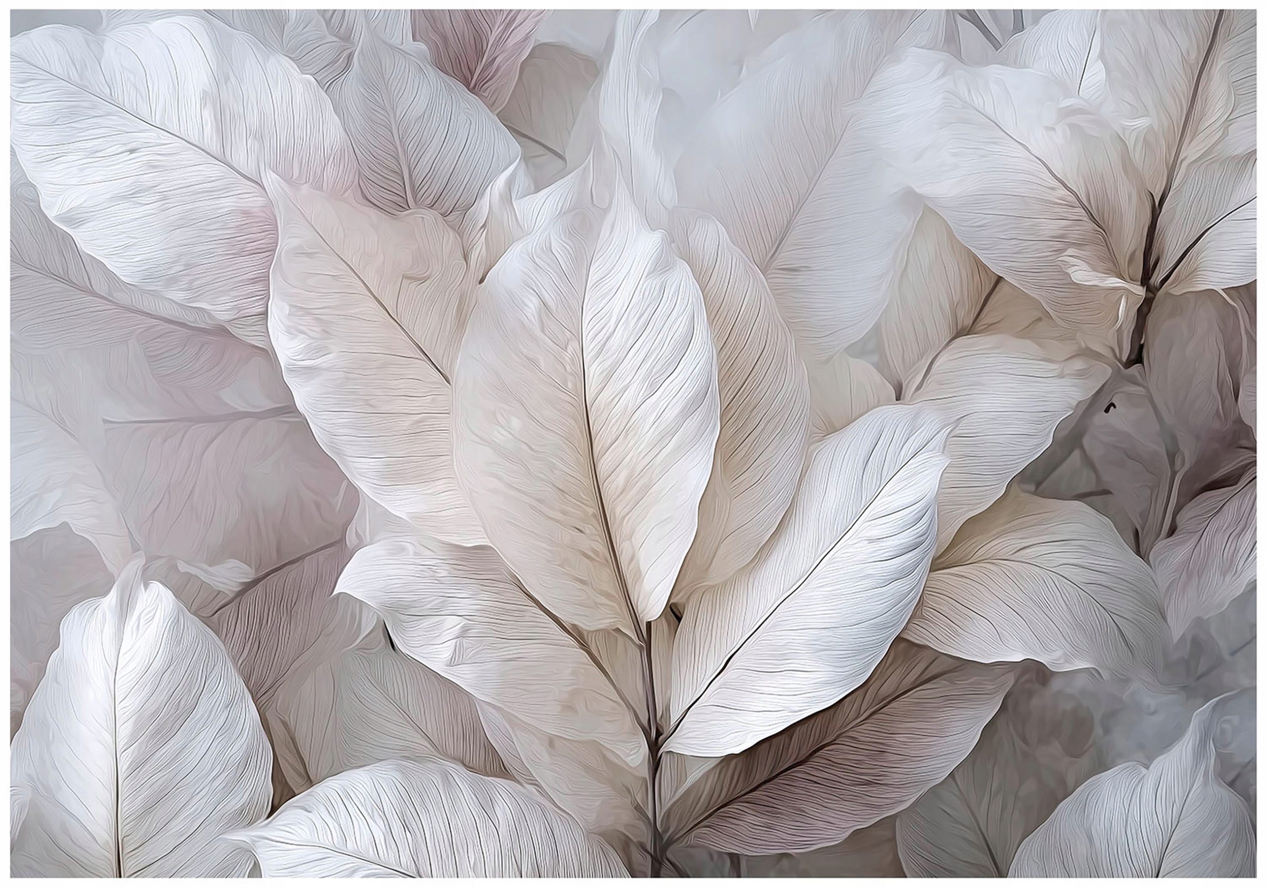 Fototapeta Listy Abstrakce 3D Šedá Na Zeď Ložnice Obývací Pokoj 250x175