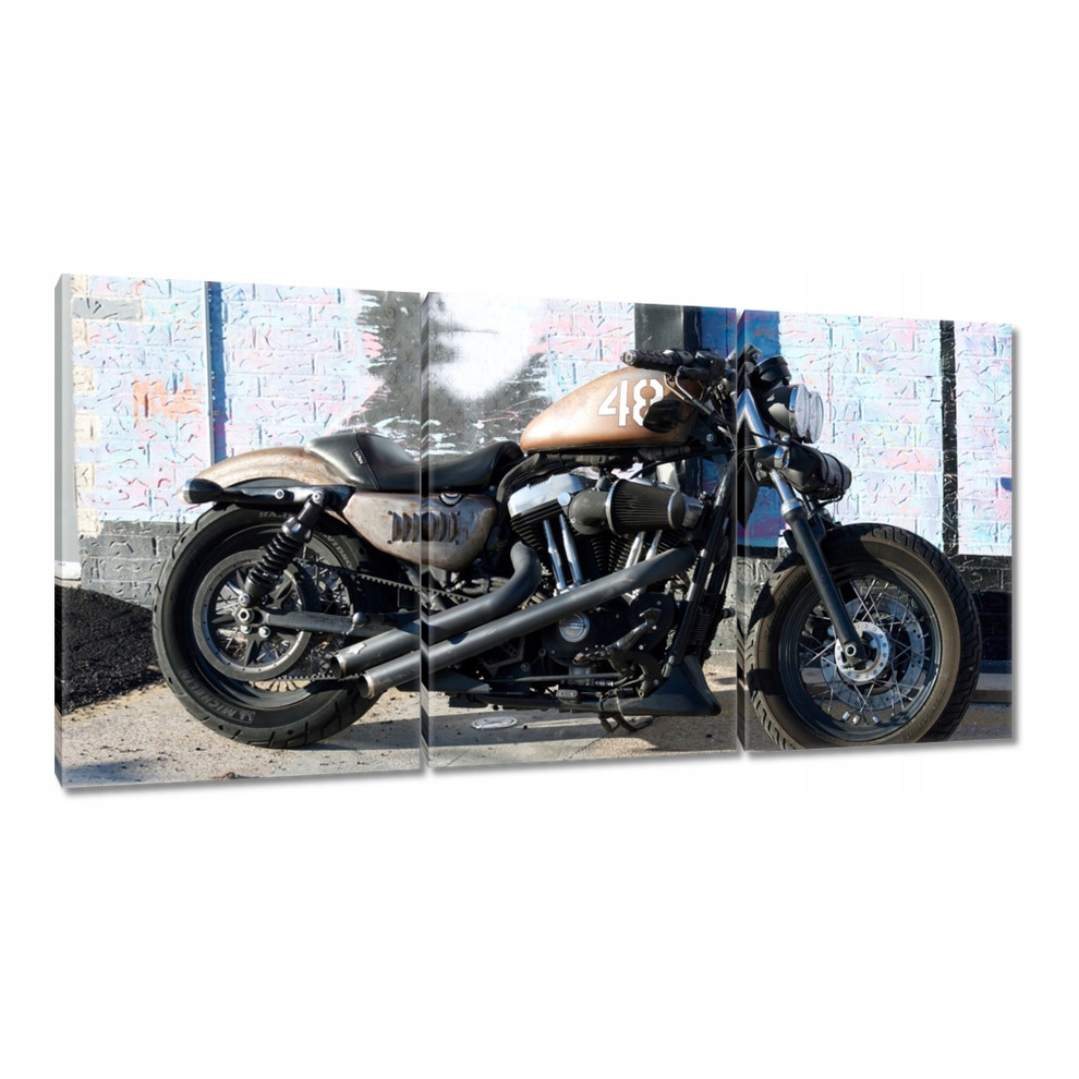 

Obrazy 120x60 Potężny motocykl