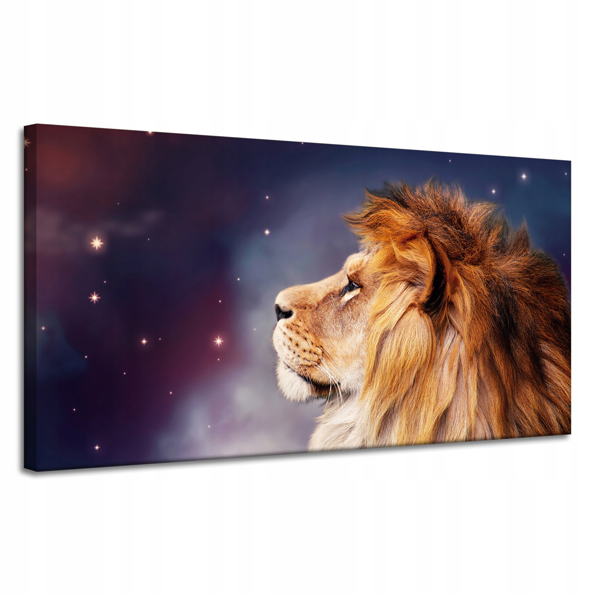 Obraz na plátně Tvář lva mezi hvězdami 120x60 cm