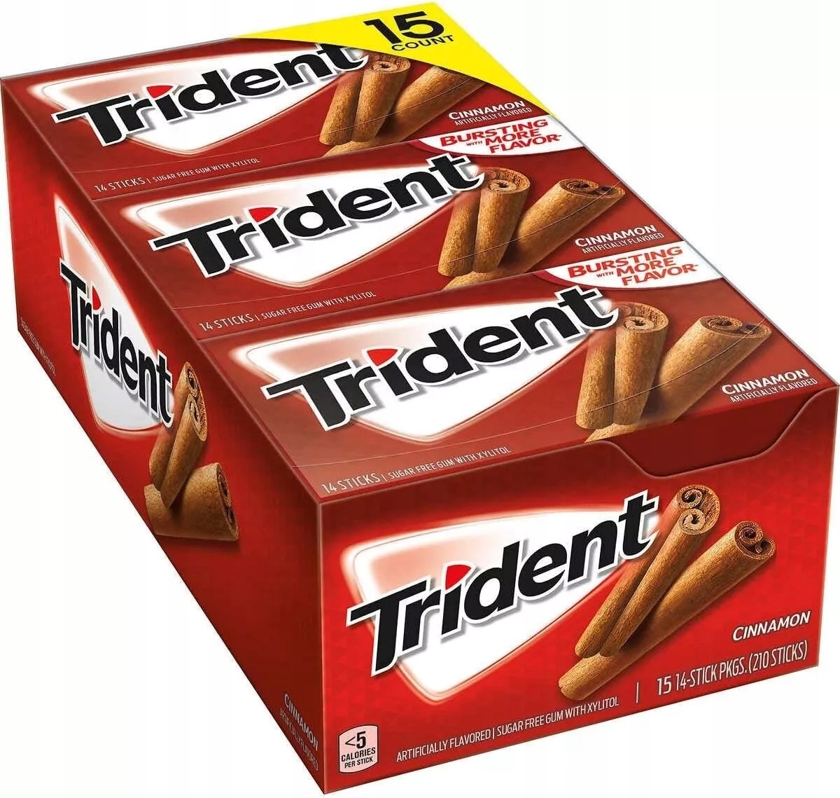Levně 15x Žvýkačka Trident Cinnamon Usa 27g