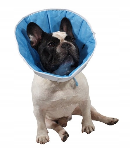 Grande Finale Látkový mimoběžný límec velikost 5 modrý [WET/KT/5(