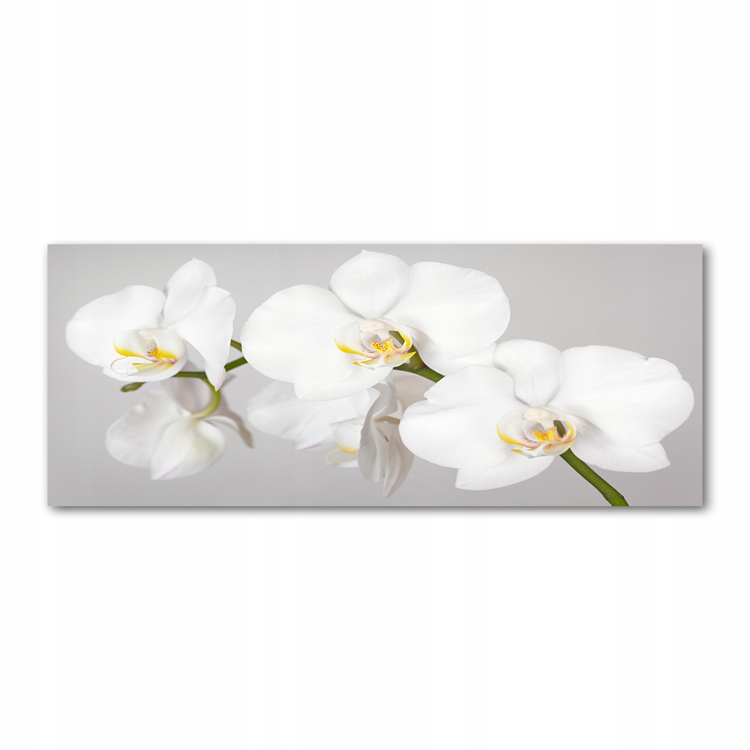 

Foto obraz duży akryl nowoczesny Orchidea 125x50cm