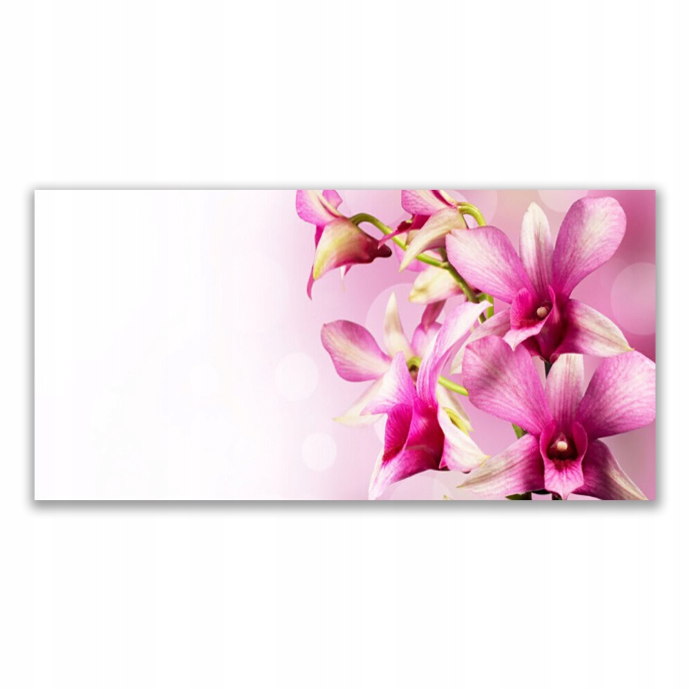 

Obraz akryl ścienny 140x70 Kwiaty Roślina Natura