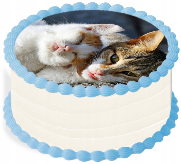 Levně oplatek na dort 29 cm Zvířata Kočka Narozeniny