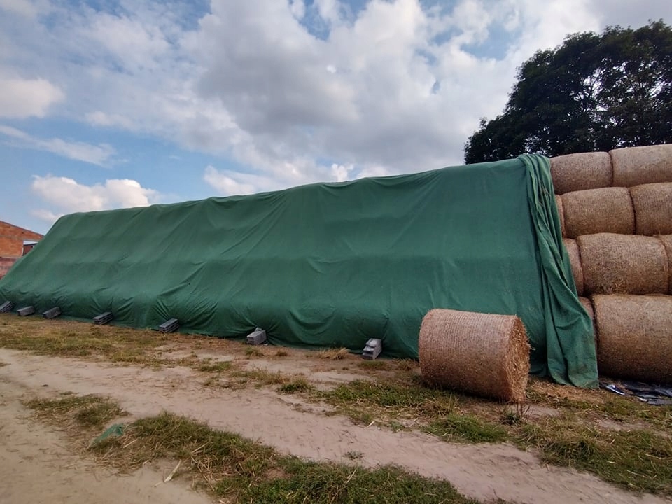 

Fliz do okrywania słomy, siana 10,4x12,5 Oryginał