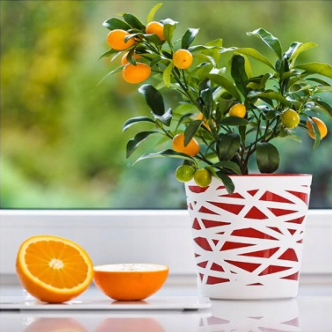 Osłonka Doniczka BETI 13 cm Biała wkład Biały Kolor biały