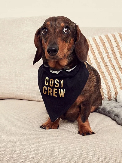 

George Bandama, chustka, apaszka dla psa roz M