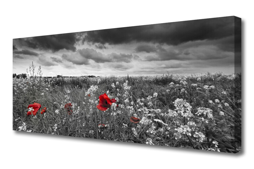 obraz na plátně Louka Květiny Krajina 125x50