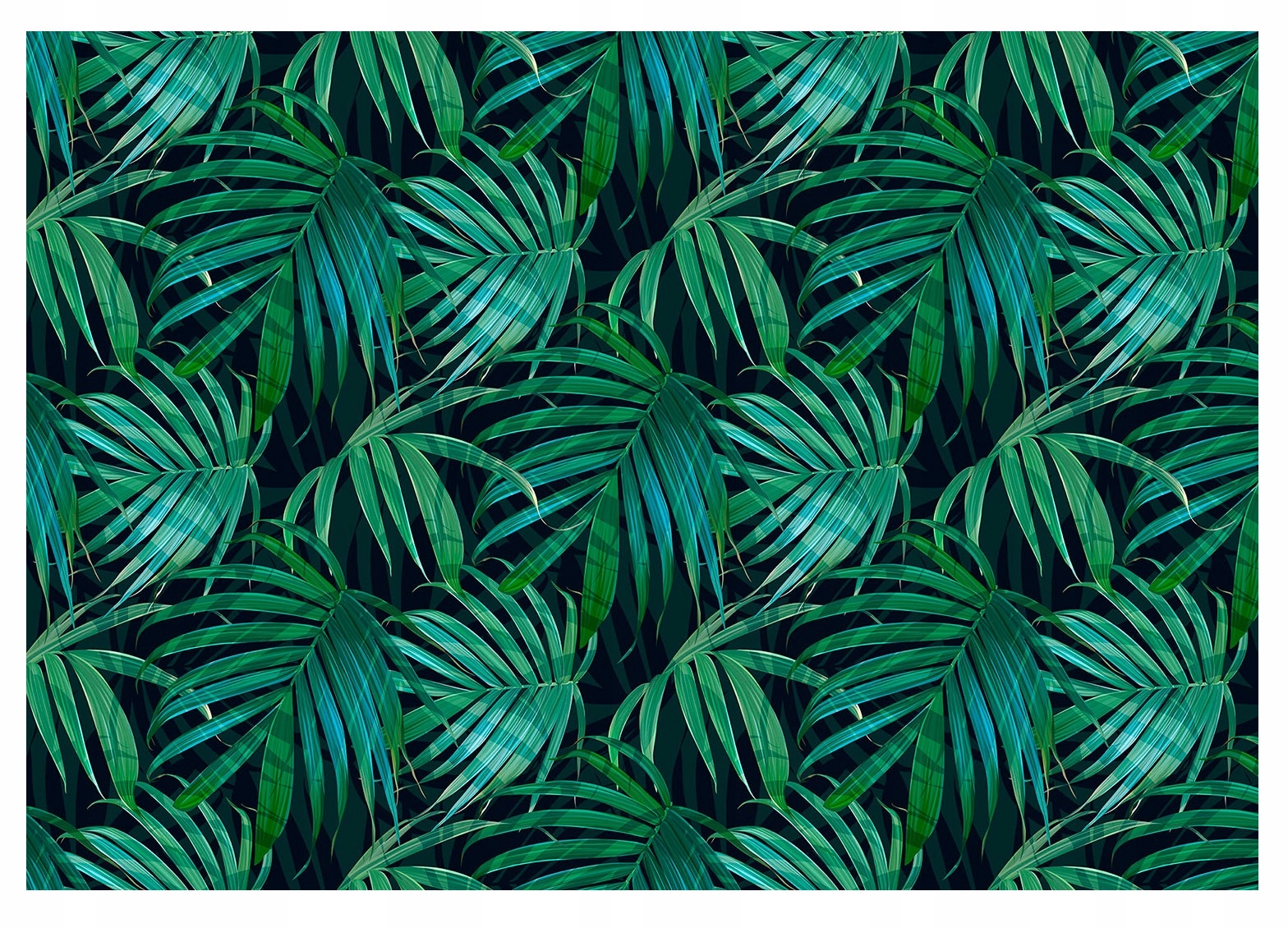 

Fototapeta Liście Tropikalne Zielone XXL 312x219