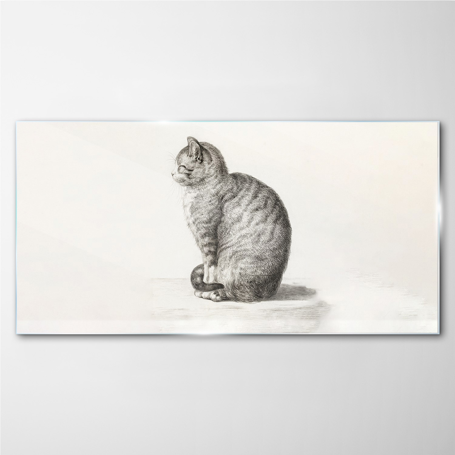 

Foto-obraz na ścianę szklany Zwierzę kot 100x50 cm
