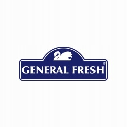 Zawieszka do WC General Fresh Total Force cytryna Kod producenta 801584