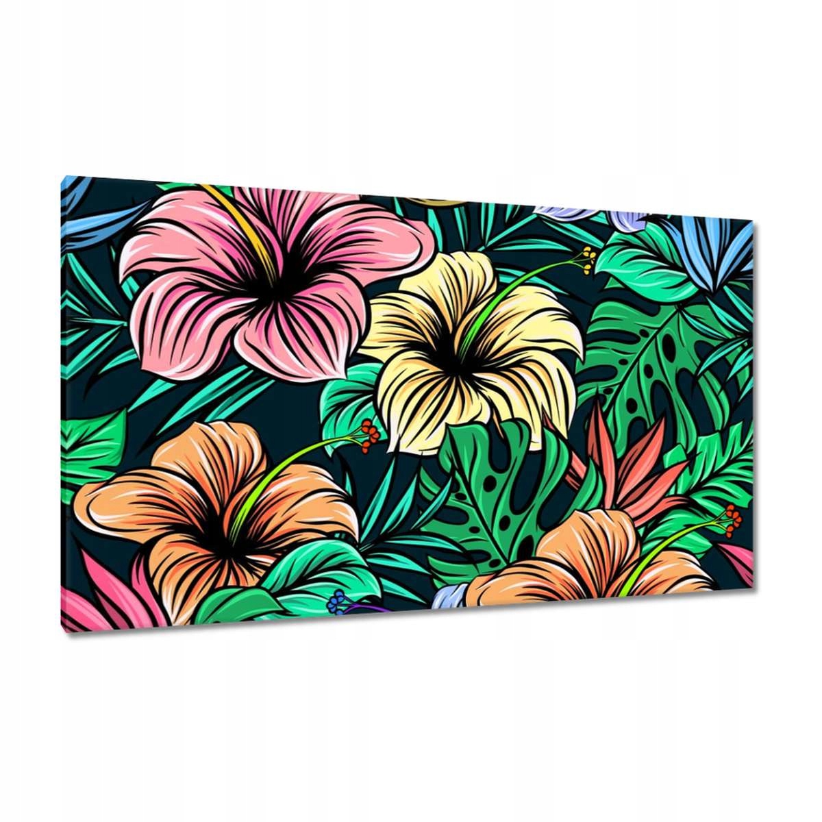 Obrazy 120x70 Monstera Zelený list