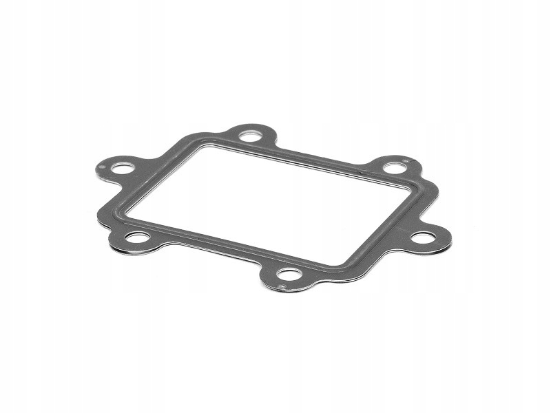 Uszczelka Chłodnicy EGR Recyrkulacja Spalin 2.7/3.0 TDI VW Audi OE Numer katalogowy części 059131547C