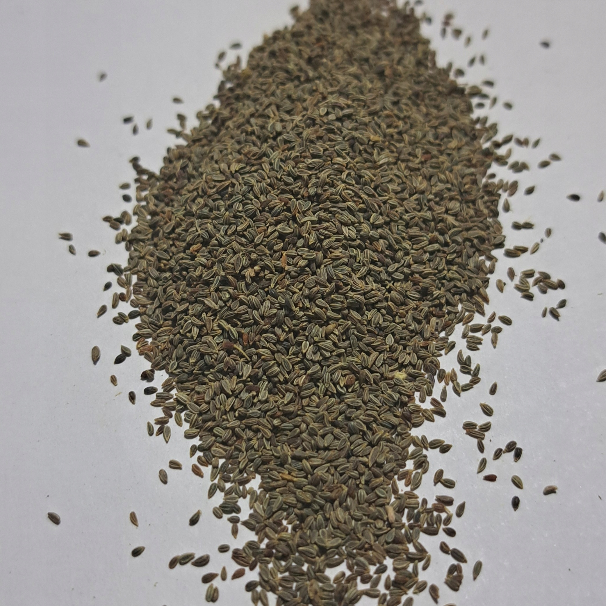 Levně Aminek egyptský 1 kg Rafex