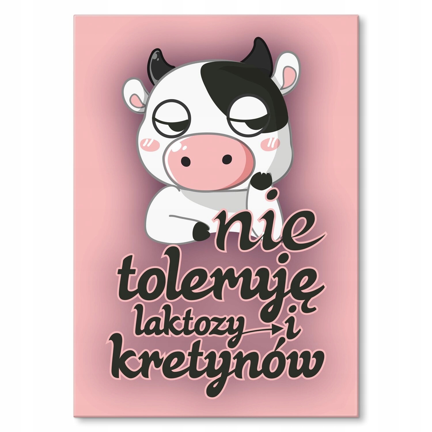 Kovový plakát Netoleruji laktózu Dárek 42 x 59 cm