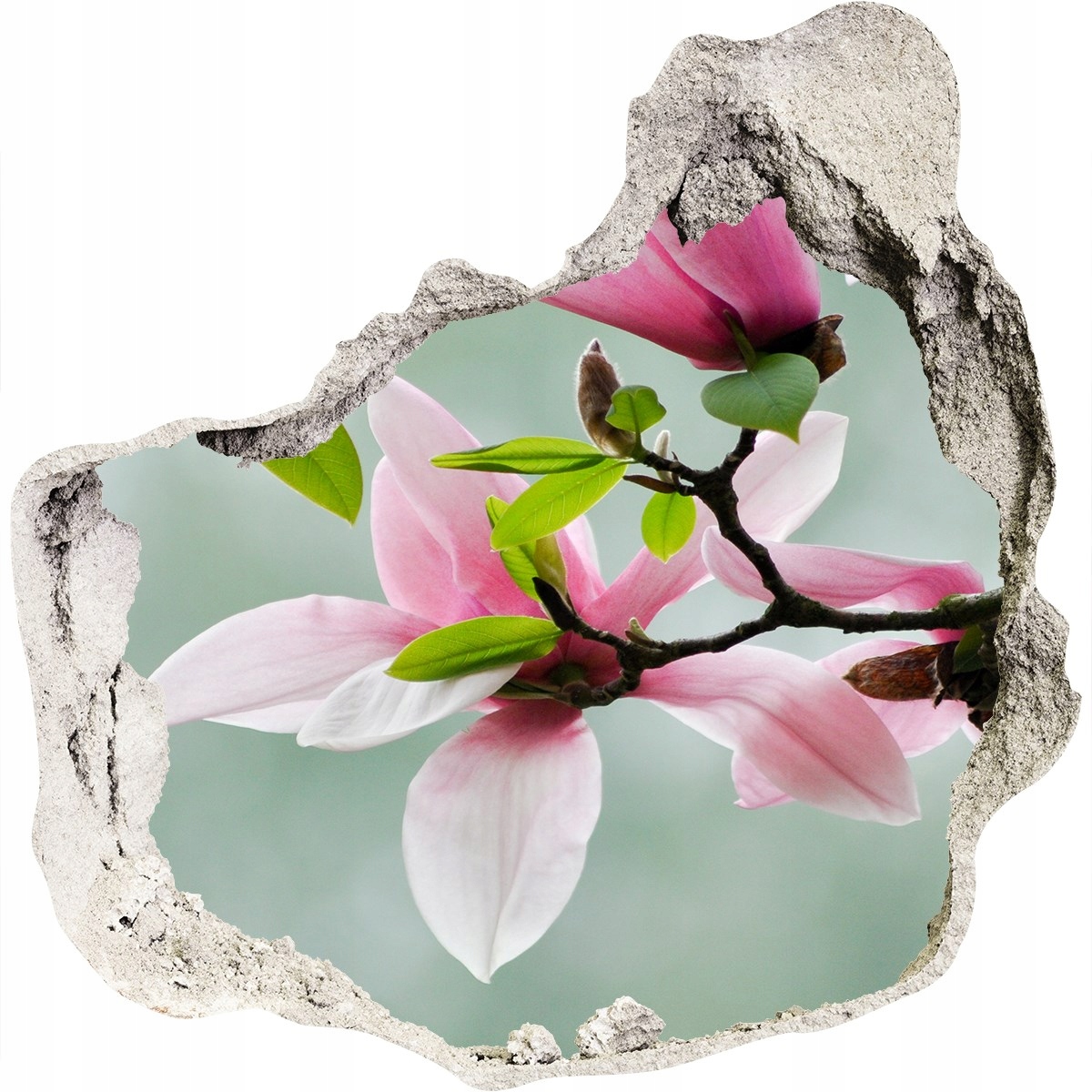 

Samoprzylepna Naklejka fototapeta Magnolia 75x75