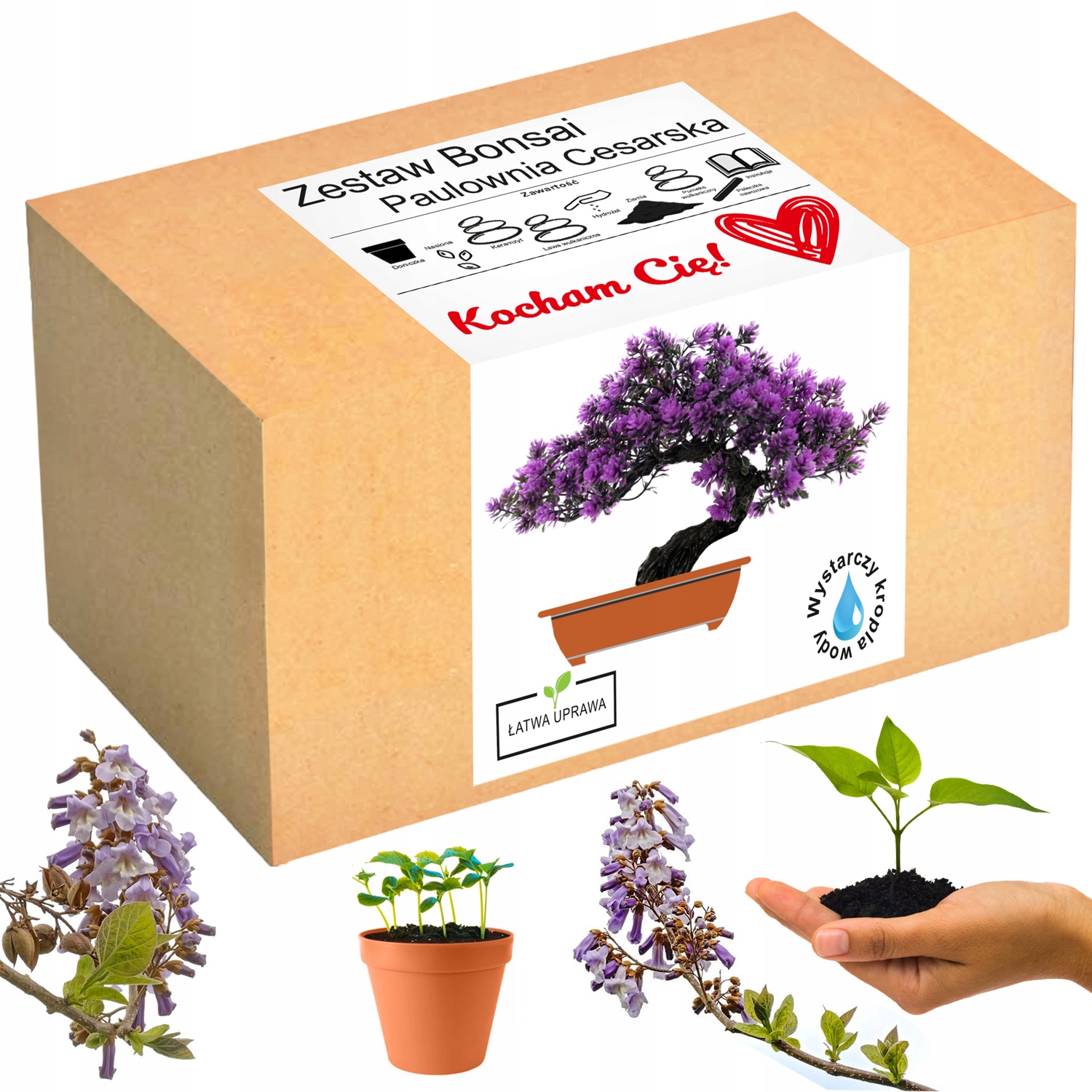 

na Walentynki drzewko szczęścia bonsai